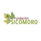 Logo Fundación Sicomoro