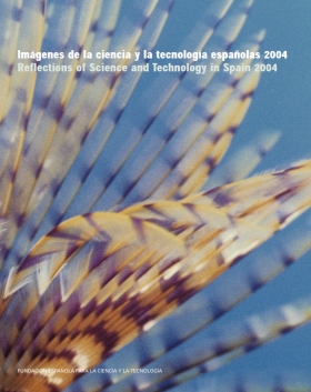Imágenes de la ciencia y la tecnología españolas 2004