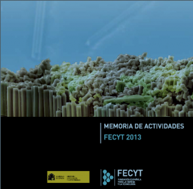 FECYT Activity Report 2013