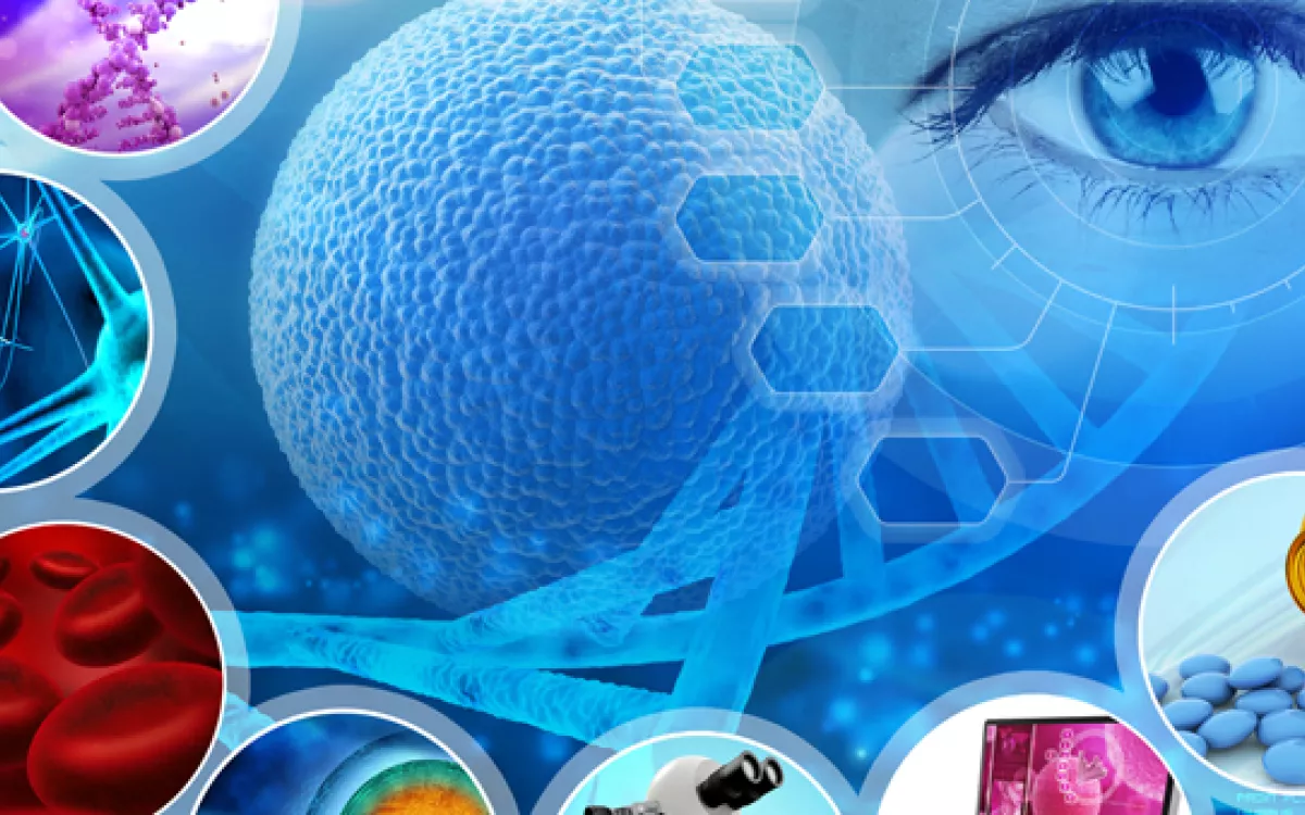 FECYT acerca la ciencia a casa