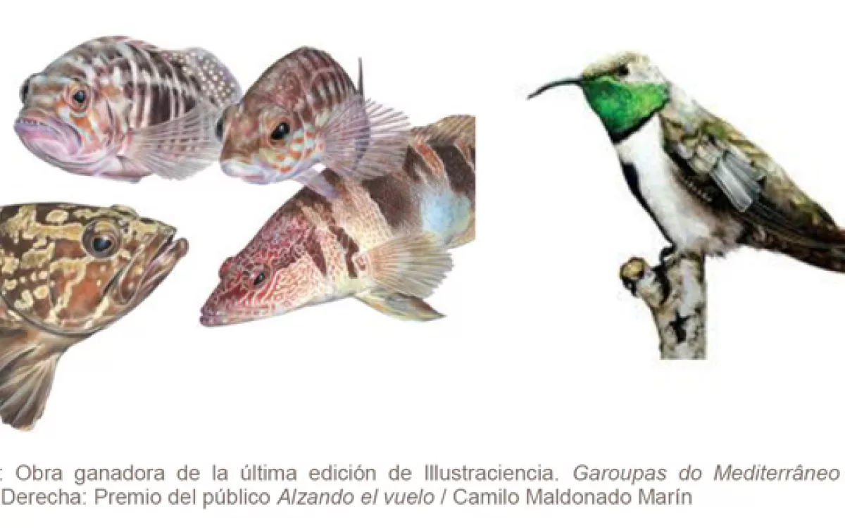 Arranca la sexta edición de Illustraciencia