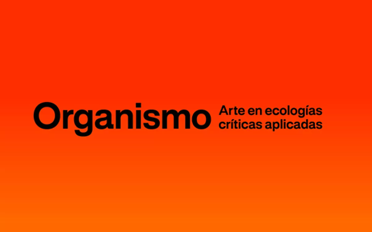 FECYT colabora en el programa de estudios independientes “Organismo | Arte en ecologías críticas aplicadas”