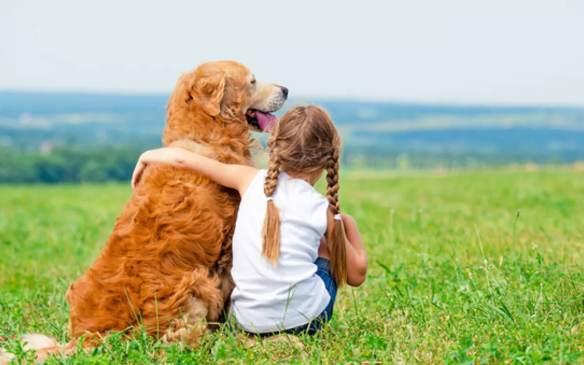 Cómo puedes ayudar para el tratamiento y prevención de la leishmaniosis canina