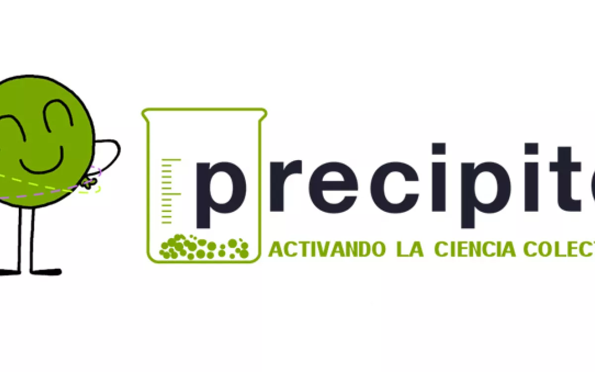 Precipita supera los 600.000 euros