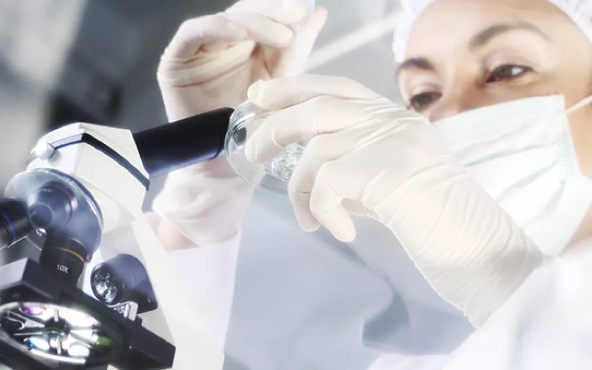 España aumenta su presencia en la producción científica mundial de excelencia