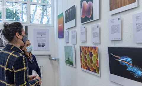 La exposición FOTCIENCIA17 se abre al público en Madrid y Pamplona