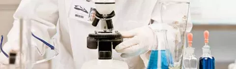 Conferencia sobre el cuerpo humano