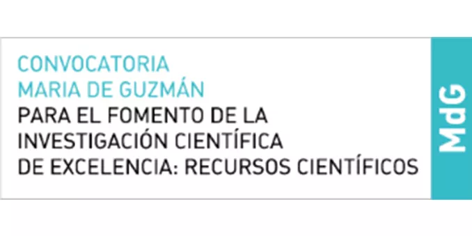 FECYT abre la segunda convocatoria María de Guzmán para el fomento de la investigación científica de excelencia