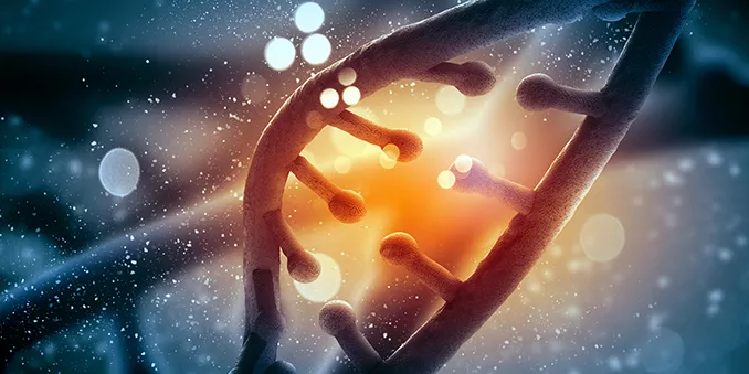 FECYT renueva las licencias de Web of Science y Scopus 
