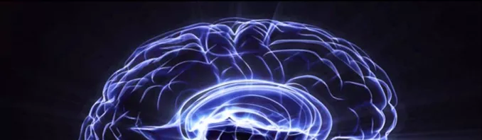 Convocatoria de becas predoctorales en Neurociencia 2016