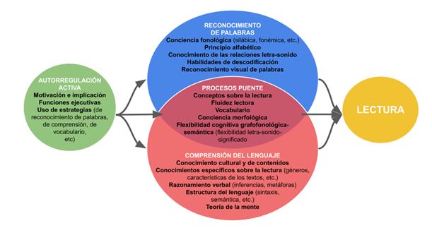 Comprension lectora